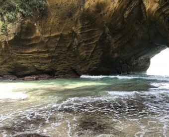Hibica