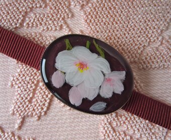 shion-no-sono  紫苑