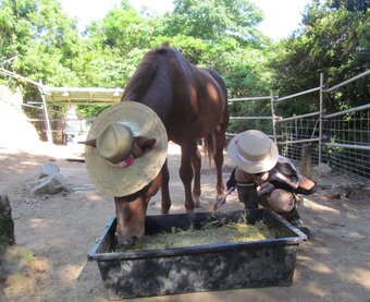江島 達也／対州屋