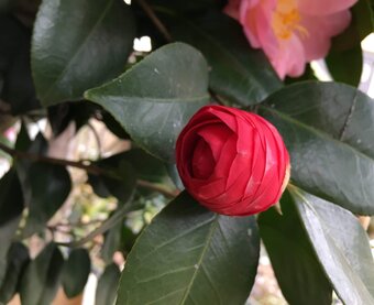 手編み工房みあきのプロフィール Iichi ハンドメイド クラフト作品 手仕事品の通販