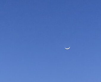 暮らしの情景 カモミレ