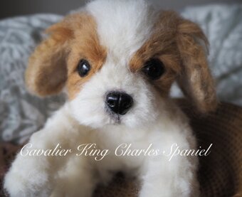 ART RISE （アトリセ）