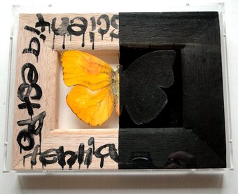 鈴木ショウコのアートショップ　描キクケコ