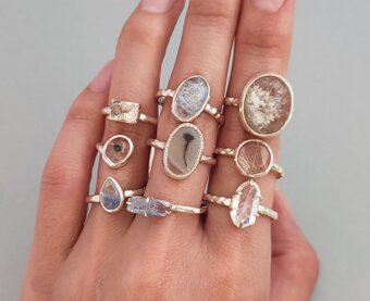 黒猫とカンパニュラ