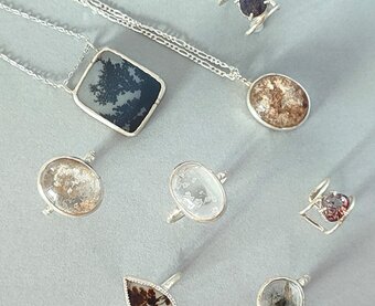 黒猫とカンパニュラ