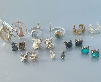 黒猫とカンパニュラ