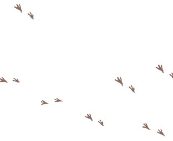 小鳥屋ちゅんちゅん