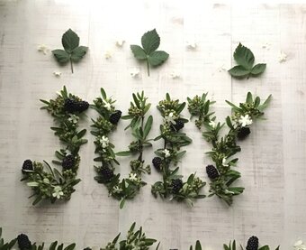 M+M　Recipe　 エムエムレシピ