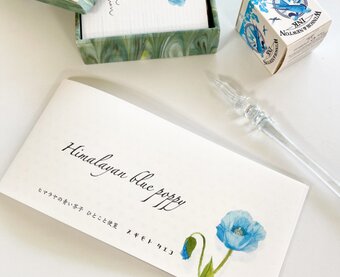 スギモトタエコ