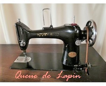 うさぎのしっぽ