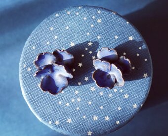 星の倉庫　HOSHINOSOUCO