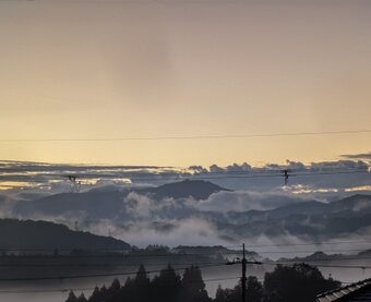 堂谷木工製作所