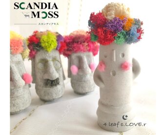 ☾ Crescent Clover ꕤ