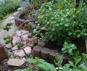 ALICE　HERB　GARDEN