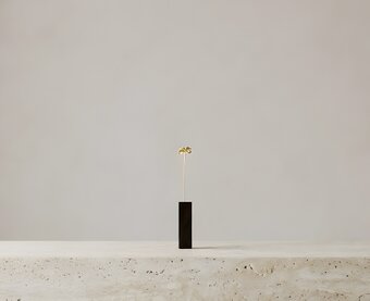 Vita Ramus｜真鍮ボタニカルオブジェ