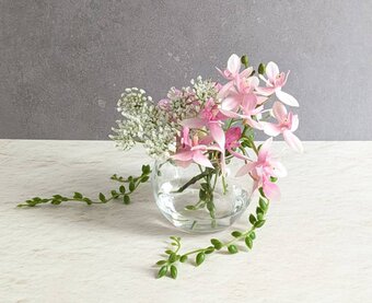 Homwaka.ほんわか｜硝子と水の、フラワーオブジェ