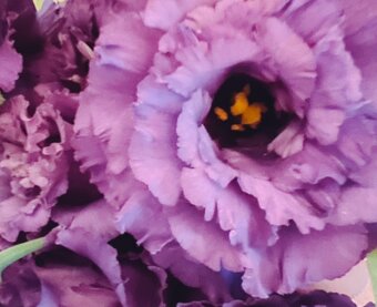 ☆ピアジェ358☆