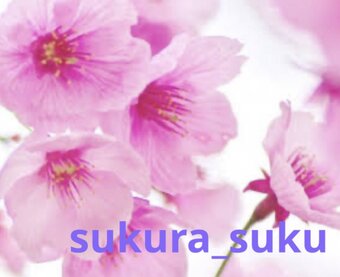 sakura_saku