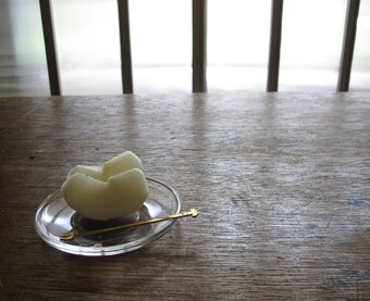 p-1Lab.（テラボラ）