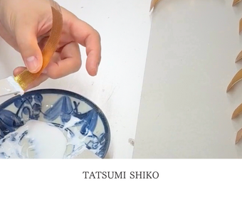 TATSUMI SHIKO