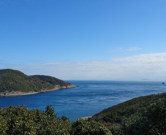 Maris研究所（まりすけんきゅうじょ）