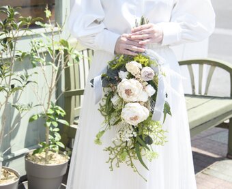 Belamorベラモール