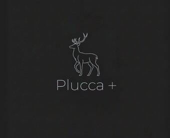 Plucca ＋（ﾌﾟﾗｯｶ ﾌﾟﾗｽ）