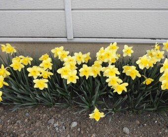 ギャラリー四季彩