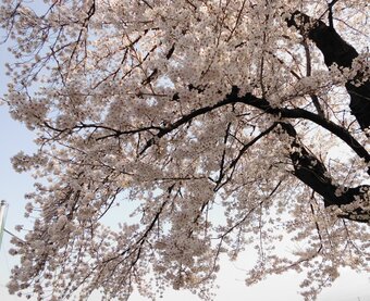 ギャラリー四季彩