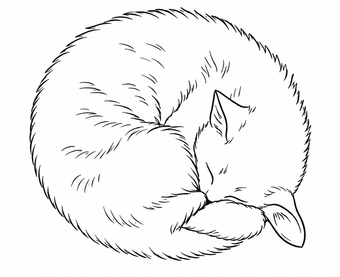Yuki
