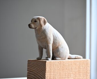 犬 ラブラドールレトリバー | iichi 日々の暮らしを心地よくする