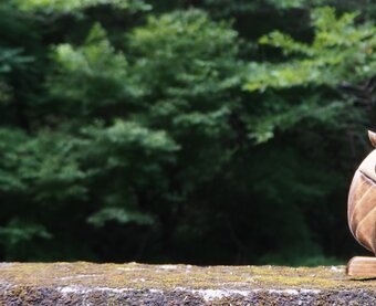 ジョイクラフト