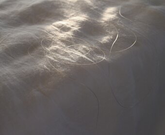 Littlemiss/リトルミス