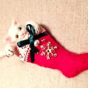 KITTEN IN CHRISTMAS STOCKING　C  ブローチの画像