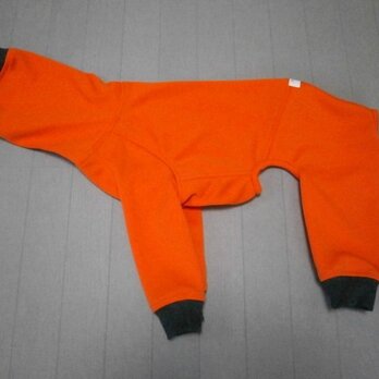 犬服　[受注生産]ウィペット用フルスーツ　オレンジの画像
