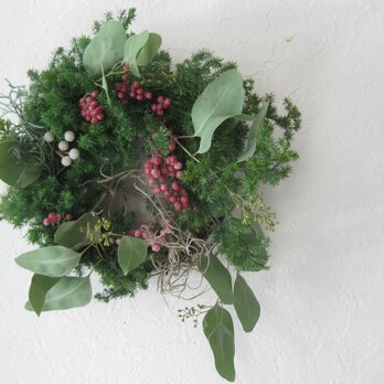 鳥の巣christmas-wreathの画像