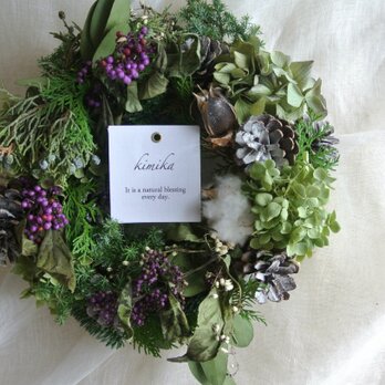 コシキブとジュニパーベリーのwinter wreathの画像