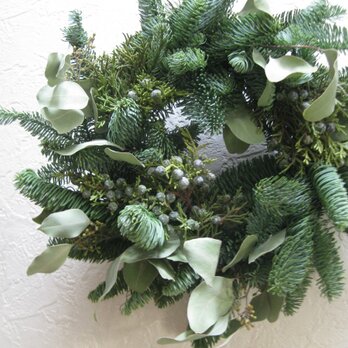 フレッシュモミとユーカリのchristmas-wreathの画像