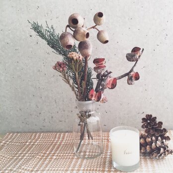 アフリカンプランツアソートa