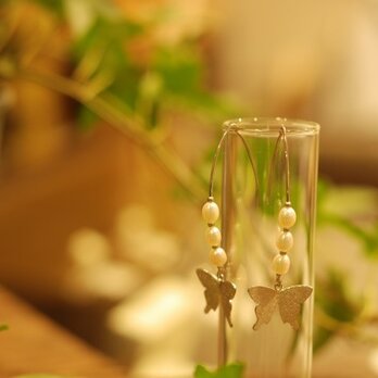 蝶のピアス-パール