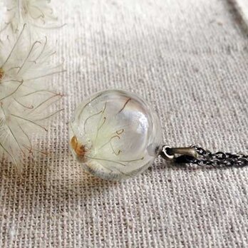 Botanical Jewelry クサボタンの画像