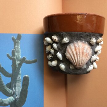 貝殻植木鉢 3号Aの画像