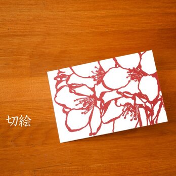 切り絵 はがき ポストカード 桜 赤の色渋紙 1枚 処分特価の画像