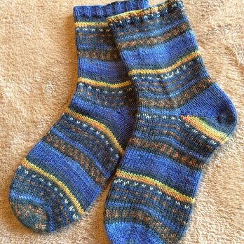 ドイツソックヤーンの手編み靴下【マウジー・ヤイロチョウ】の画像