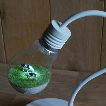 bulb terrarium mini whiteの画像