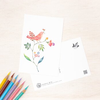 5枚セット。絵本のような。ポストカード "桃色の小鳥と草花" PC-111の画像