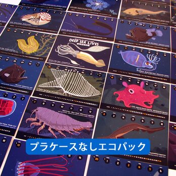 2017深海生物図鑑カレンダー（エコパック）の画像