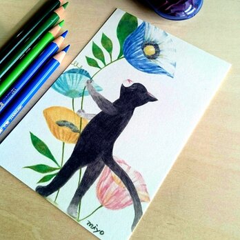 黒猫とポピーの画像