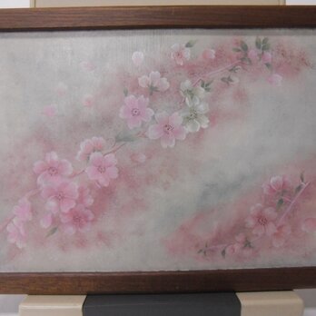 桜のころの画像