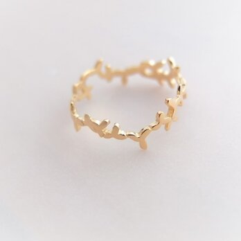 ～葉を纏う～foglia goldring